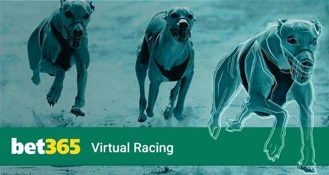 bet365 virtual greyhounds