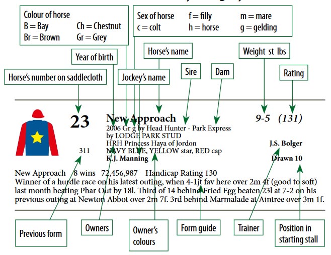 Horse Racing Form Explained