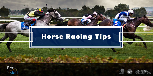 Horse Racing Tips