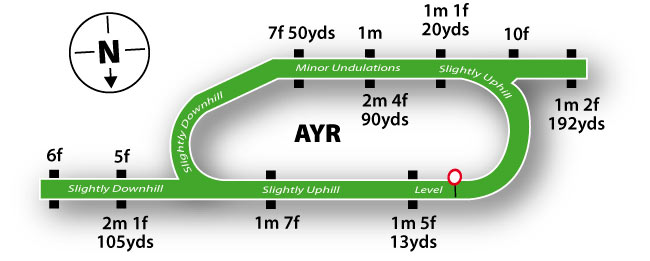 ayr racecourse