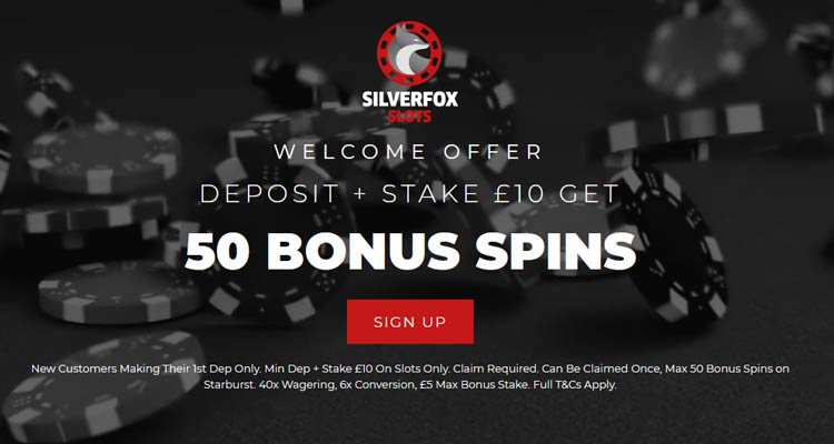 silver fox slots bonus