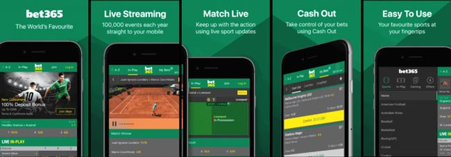 Bet365 Mobile App